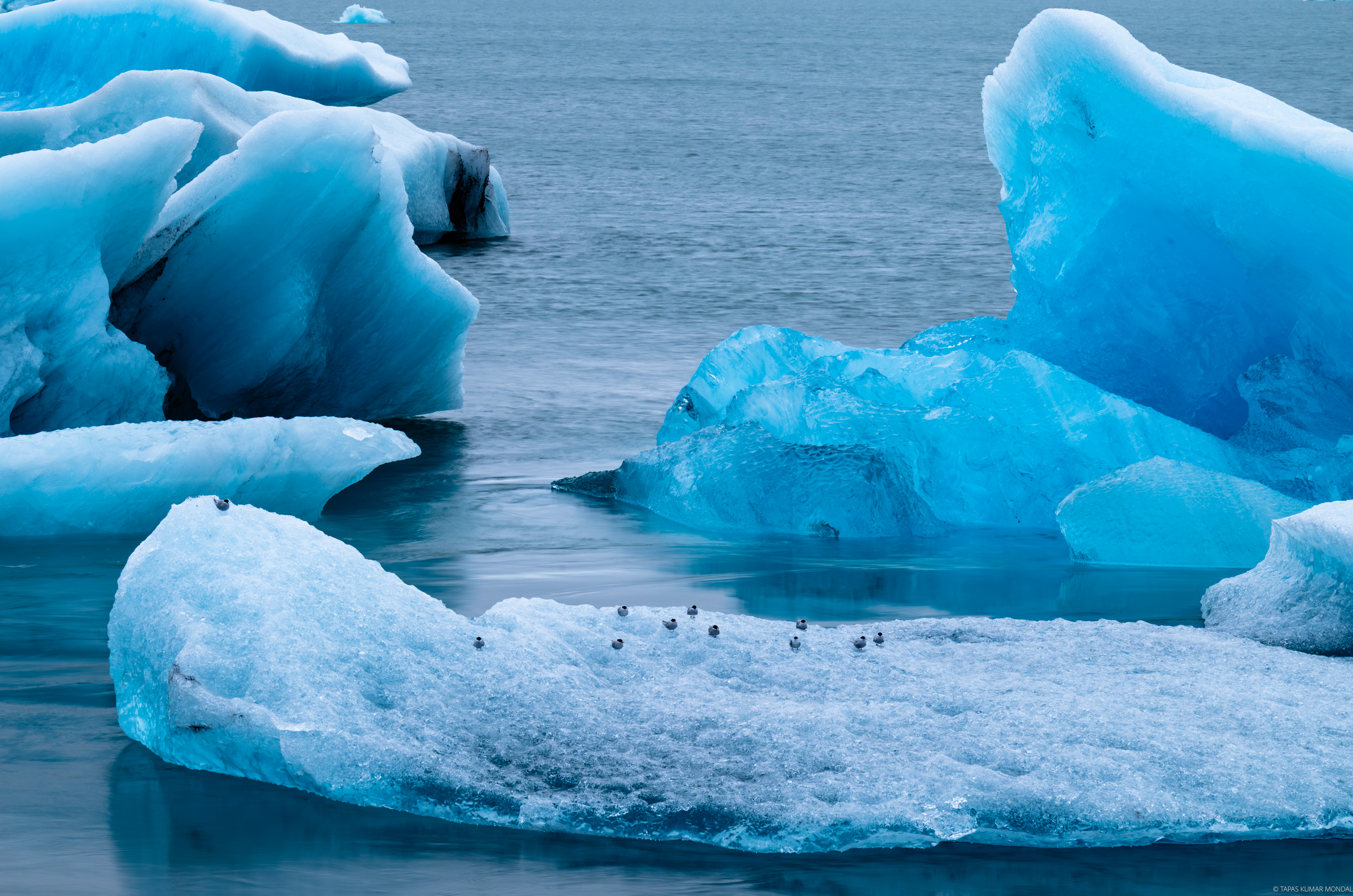 Iceland Trip